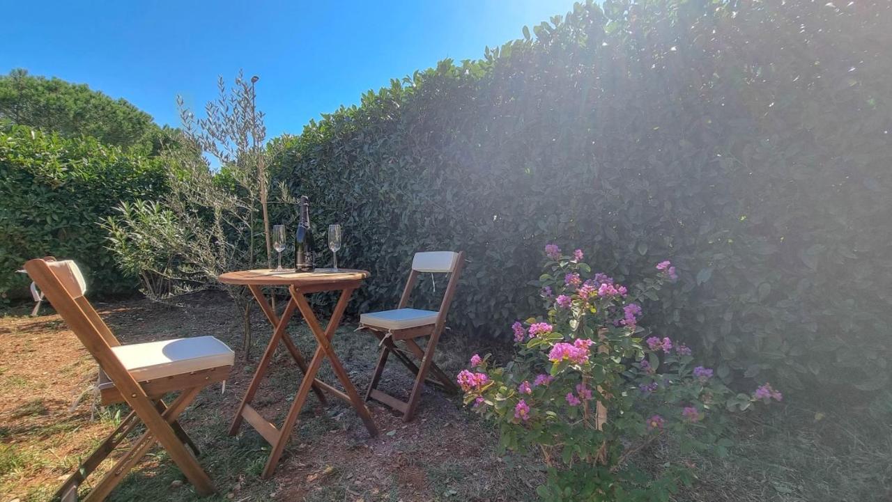 Lea Apartment Novigrad  Luaran gambar